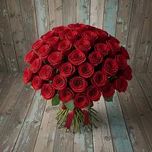 Букет 55 Красных роз Фридом #REPLACE_PRED# Старотимашкино