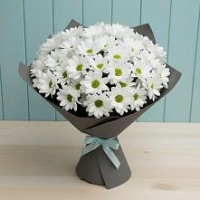 Букет цветов из:  Хризантемы в Старотимашкино