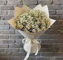 Букет цветов из:  Ромашки #REPLACE_PRED# Старотимашкино