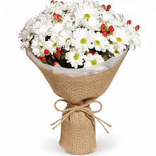 Букет цветов из:  Хризантемы #REPLACE_PRED# Старотимашкино