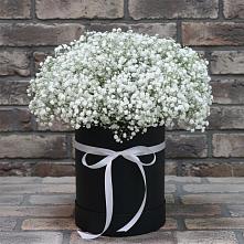 Цветочная композиция из Гипсофила в шляпной коробке #REPLACE_PRED# Старотимашкино